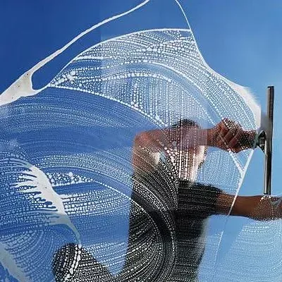Window Cleaning Service