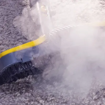 D&D steam cleaners