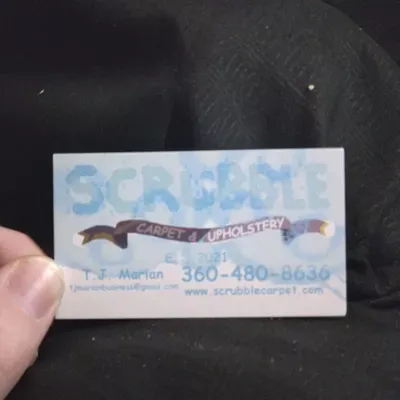 Scrubble carpet and upholstery