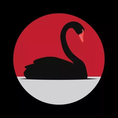 Black Swan Media Solutions