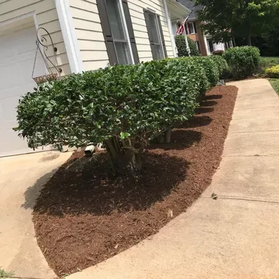 Cruz lawncare & landscaping
