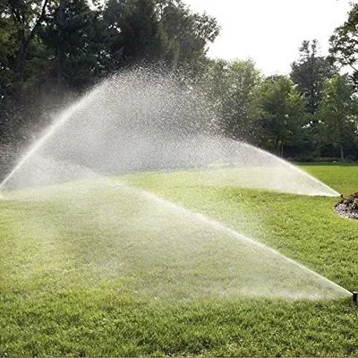 Rodriguez landscaping and irrigation llc