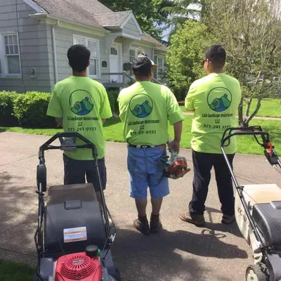 Luis landscape maintenance LLC