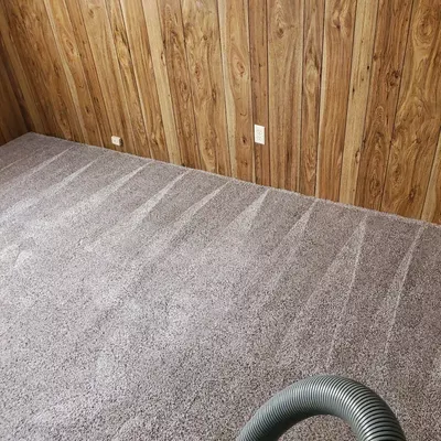 Abilene Carpet Cleaning