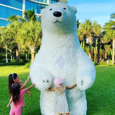 Surprise Teddy