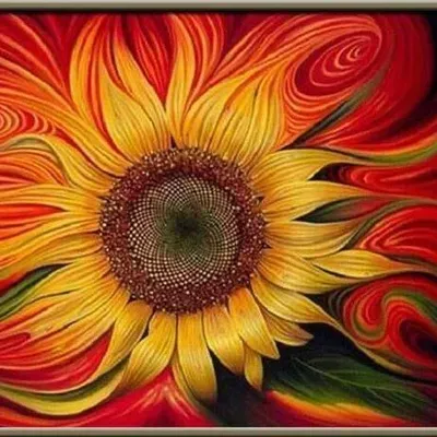 Sunflower Photo Booth Rentals