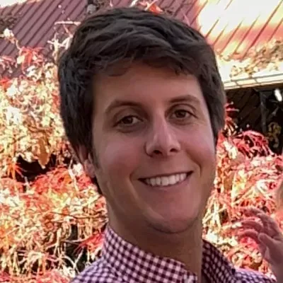 Lewis IT consulting