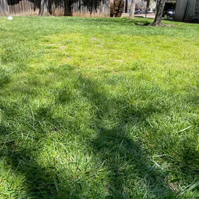 Gutierrez concrete