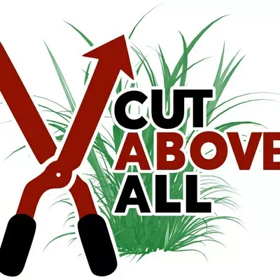 A Cut Above All