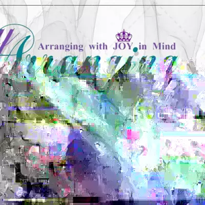 Joy Arranging Clutter Queen