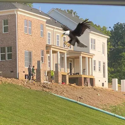 Lynn construction