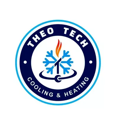 THEO LLC