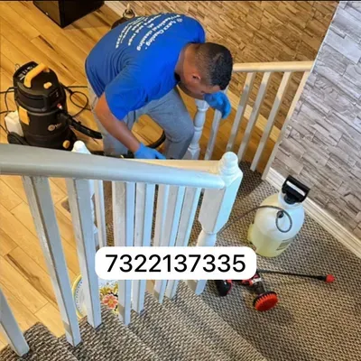 Maxx cleaning