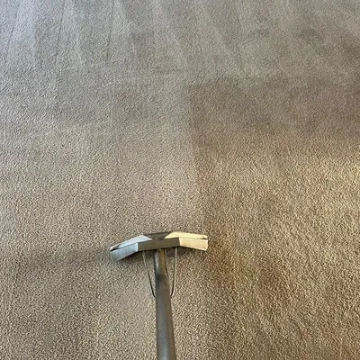 Fresh Pro Carpet Cleaning