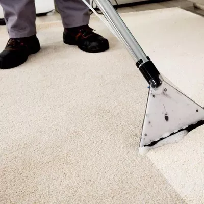 Brandywine Valley Carpet Cleaning