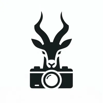 Saola photography