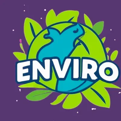 Envirocarpet Clean LLC