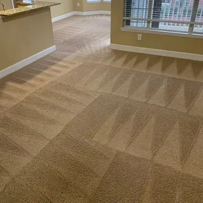 Fresh Carpet