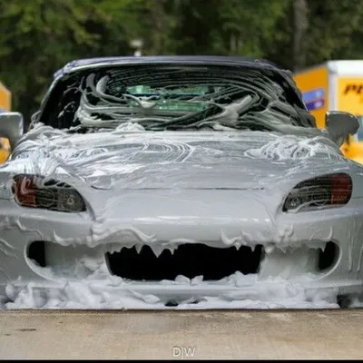 Rabid Auto Detailing