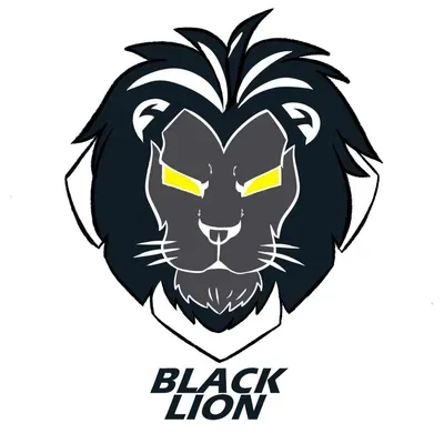 Black Lion Computers and Networking