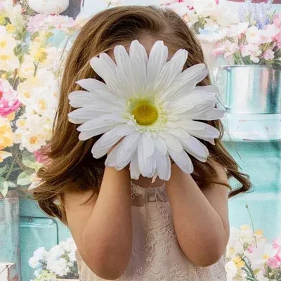 Gina Marie Photography