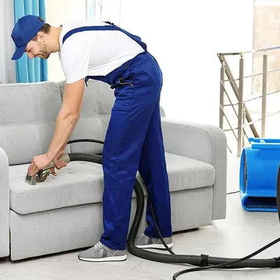 Carpet Cleaning Experts