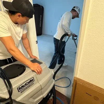 MT CARPET CLEANING