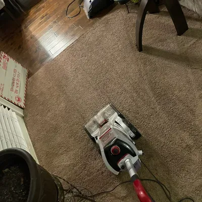 iclean Carpet