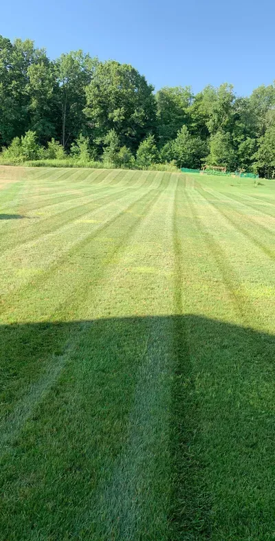 Great Lakes Landscape Management
