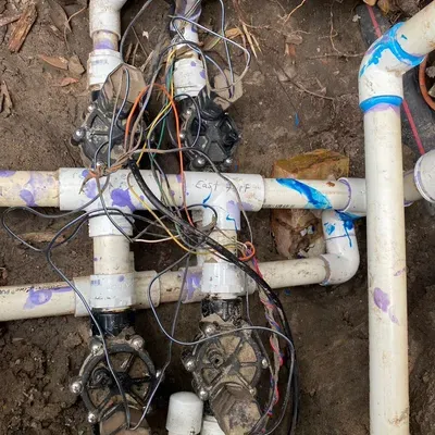 Rabbits repair