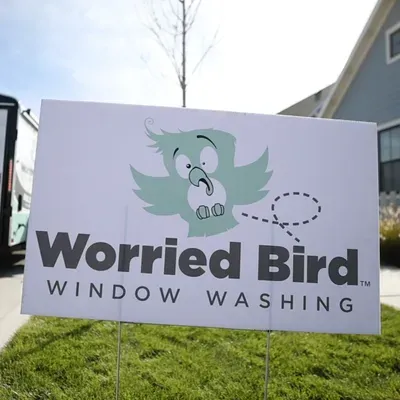 Worried Bird Window Washing - East Valley