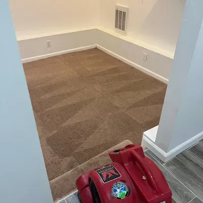 D&S Carpet cleaner/ upholstery
