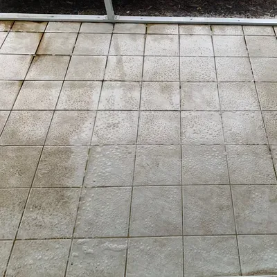 Montgomery's CarpetsPlus Colortile