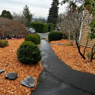 Sandoval Landscape Services