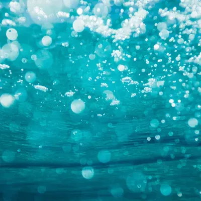 Aqua Regia, LLC