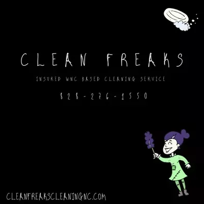 Clean Freaks