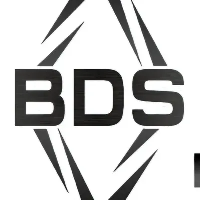 BDS, LLC (Black Diamond Services)