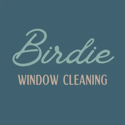 Birdie Window Cleaning