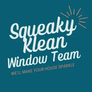 Squeaky klean window team