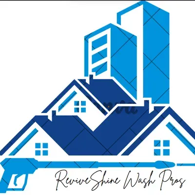 ReviveShine Wash Pros