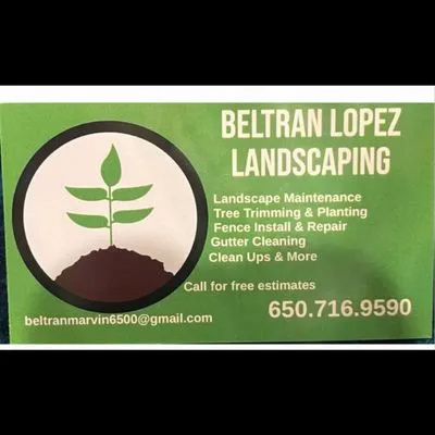 Beltran Landscape and tree services