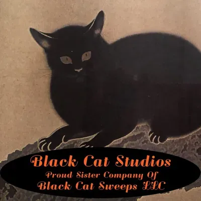 Black Cat Sweeps LLC And Black Cat Studios