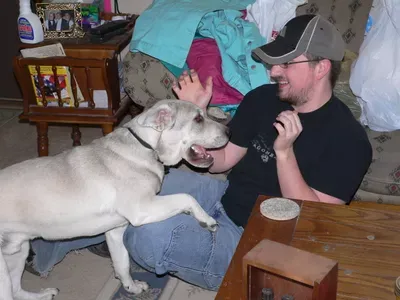 Comfort Crew Pet Sitters