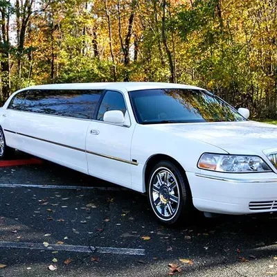 American Limousine & Car Service, LLC