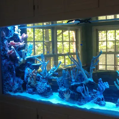 Aquarium Network