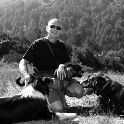 Bay Dog Behavior Training
