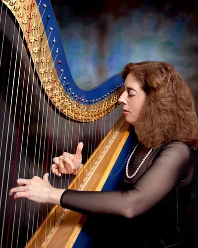 Harpnotes