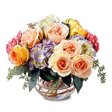 Phillip's Flowers