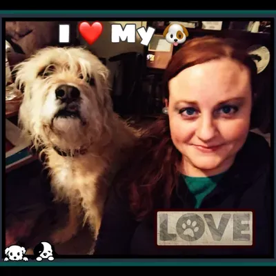 Affordable Pet Sitting
