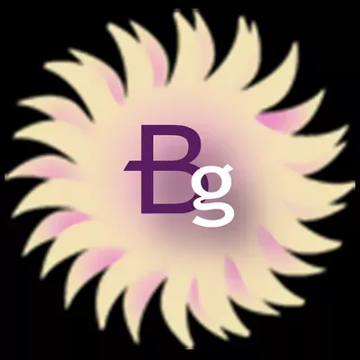 BarisGraphics Freelance Graphic Design